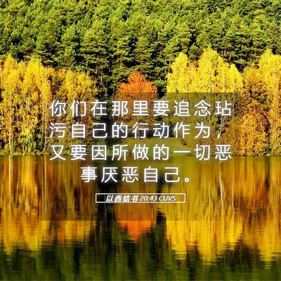 Picture 05 - 以 西 结 书 20:43 CUVS - 你 们 在 那 里 要 追 念 玷 污 自 己 - Bible Verse Picture