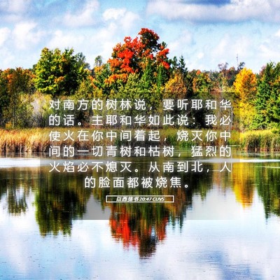 Picture 05 - 以 西 结 书 20:47 CUVS - 对 南 方 的 树 林 说 ， 要 听 耶 和 - Bible Verse Picture