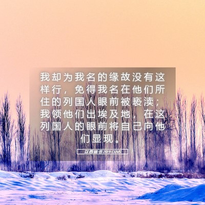 Picture 05 - 以 西 结 书 20:9 CUVS - 我 却 为 我 名 的 缘 故 没 有 这 样 - Bible Verse Picture