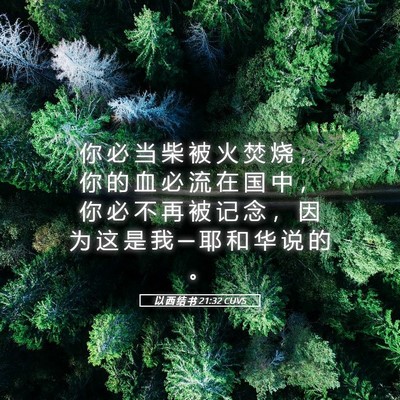 Picture 05 - 以 西 结 书 21:32 CUVS - 你 必 当 柴 被 火 焚 烧 ， 你 的 血 - Bible Verse Picture