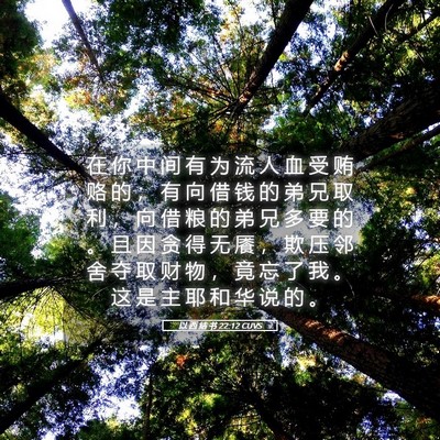 Picture 05 - 以 西 结 书 22:12 CUVS - 在 你 中 间 有 为 流 人 血 受 贿 赂 - Bible Verse Picture