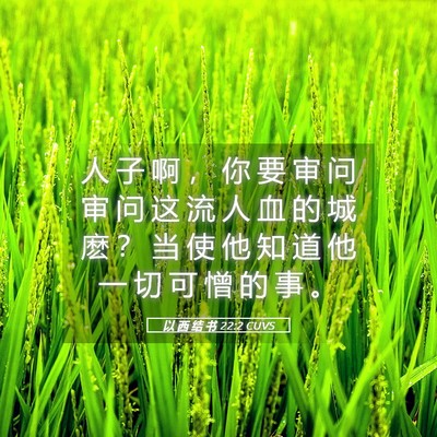 Picture 05 - 以 西 结 书 22:2 CUVS - 人 子 啊 ， 你 要 审 问 审 问 这 流 - Bible Verse Picture