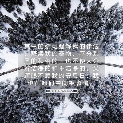 Picture 05 - 以 西 结 书 22:26 CUVS - 其 中 的 祭 司 强 解 我 的 律 法 ， - Bible Verse Picture