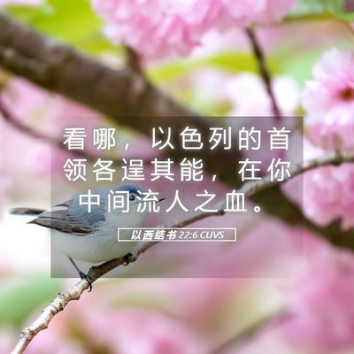 Picture 05 - 以 西 结 书 22:6 CUVS - 看 哪 ， 以 色 列 的 首 领 各 逞 其 - Bible Verse Picture