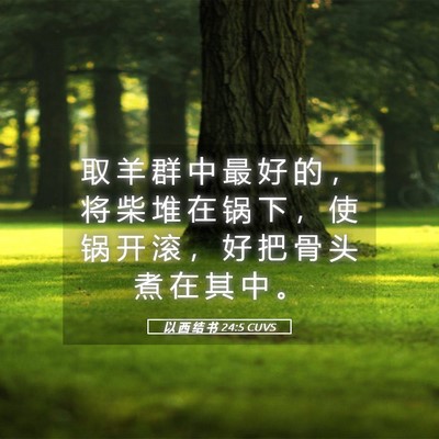 Picture 05 - 以 西 结 书 24:5 CUVS - 取 羊 群 中 最 好 的 ， 将 柴 堆 在 - Bible Verse Picture