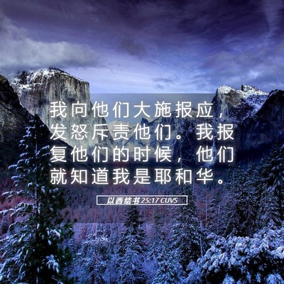 Picture 05 - 以 西 结 书 25:17 CUVS - 我 向 他 们 大 施 报 应 ， 发 怒 斥 - Bible Verse Picture