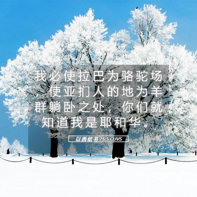 Picture 05 - 以 西 结 书 25:5 CUVS - 我 必 使 拉 巴 为 骆 驼 场 ， 使 亚 - Bible Verse Picture