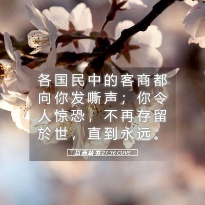 Picture 05 - 以 西 结 书 27:36 CUVS - 各 国 民 中 的 客 商 都 向 你 发 嘶 - Bible Verse Picture