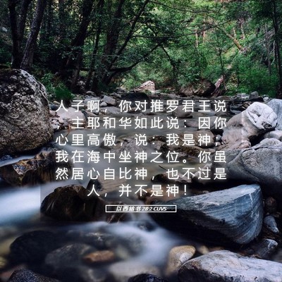Picture 05 - 以 西 结 书 28:2 CUVS - 人 子 啊 ， 你 对 推 罗 君 王 说 ， - Bible Verse Picture