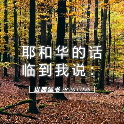 Picture 05 - 以 西 结 书 28:20 CUVS - 耶 和 华 的 话 临 到 我 说 - Bible Verse Picture