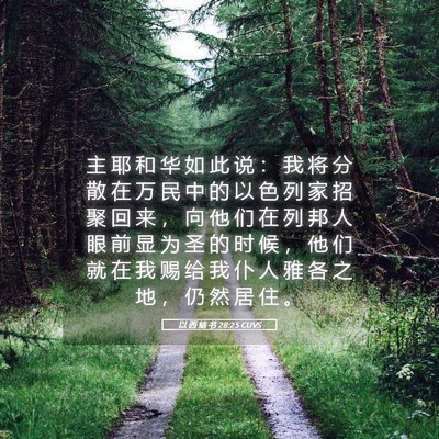Picture 05 - 以 西 结 书 28:25 CUVS - 主 耶 和 华 如 此 说 ： 我 将 分 散 - Bible Verse Picture