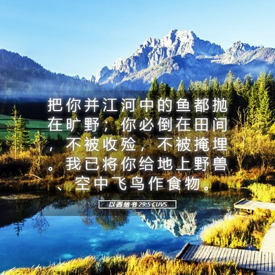 Picture 05 - 以 西 结 书 29:5 CUVS - 把 你 并 江 河 中 的 鱼 都 抛 在 旷 - Bible Verse Picture