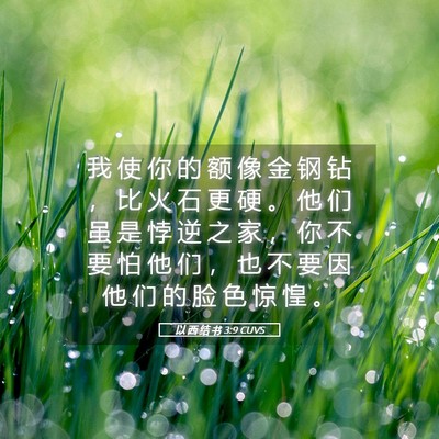 Picture 05 - 以 西 结 书 3:9 CUVS - 我 使 你 的 额 像 金 钢 钻 ， 比 火 - Bible Verse Picture