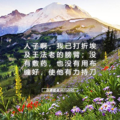 Picture 05 - 以 西 结 书 30:21 CUVS - 人 子 啊 ， 我 已 打 折 埃 及 王 法 - Bible Verse Picture