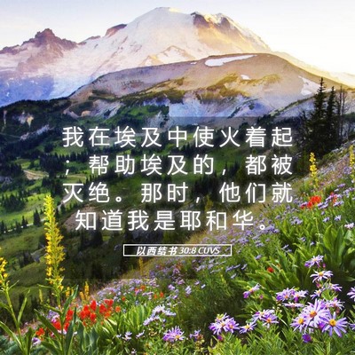 Picture 05 - 以 西 结 书 30:8 CUVS - 我 在 埃 及 中 使 火 着 起 ； 帮 助 - Bible Verse Picture