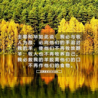Picture 05 - 以 西 结 书 34:10 CUVS - 主 耶 和 华 如 此 说 ： 我 必 与 牧 - Bible Verse Picture
