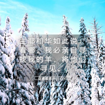 Picture 05 - 以 西 结 书 34:11 CUVS - 主 耶 和 华 如 此 说 ： 看 哪 ， 我 - Bible Verse Picture