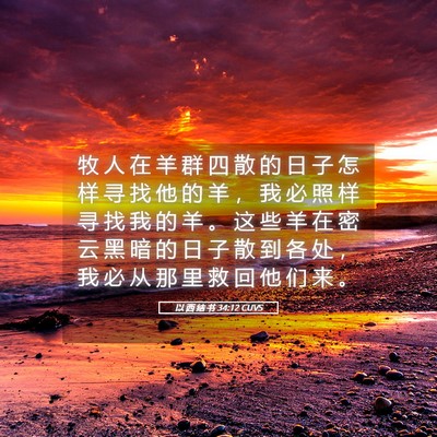 Picture 05 - 以 西 结 书 34:12 CUVS - 牧 人 在 羊 群 四 散 的 日 子 怎 样 - Bible Verse Picture