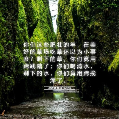 Picture 05 - 以 西 结 书 34:18 CUVS - 你 们 这 些 肥 壮 的 羊 ， 在 美 好 - Bible Verse Picture
