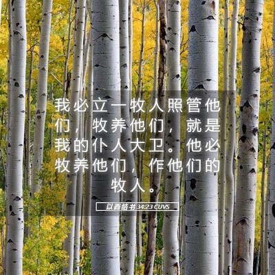 Picture 05 - 以 西 结 书 34:23 CUVS - 我 必 立 一 牧 人 照 管 他 们 ， 牧 - Bible Verse Picture