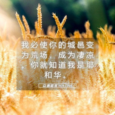 Picture 05 - 以 西 结 书 35:4 CUVS - 我 必 使 你 的 城 邑 变 为 荒 场 ， - Bible Verse Picture