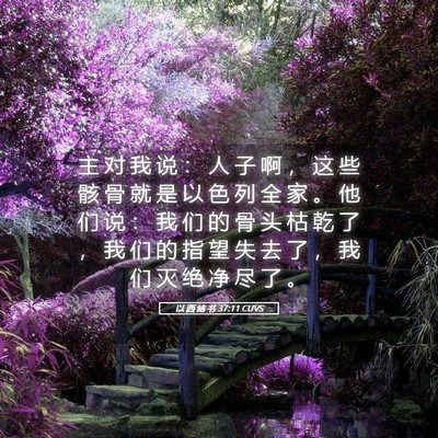 Picture 05 - 以 西 结 书 37:11 CUVS - 主 对 我 说 ： 人 子 啊 ， 这 些 骸 - Bible Verse Picture
