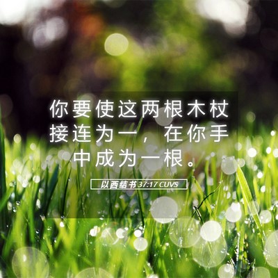 Picture 05 - 以 西 结 书 37:17 CUVS - 你 要 使 这 两 根 木 杖 接 连 为 一 - Bible Verse Picture