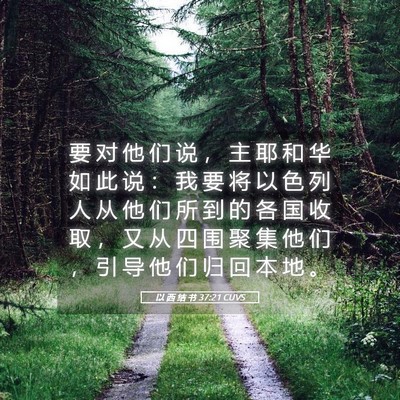 Picture 05 - 以 西 结 书 37:21 CUVS - 要 对 他 们 说 ， 主 耶 和 华 如 此 - Bible Verse Picture