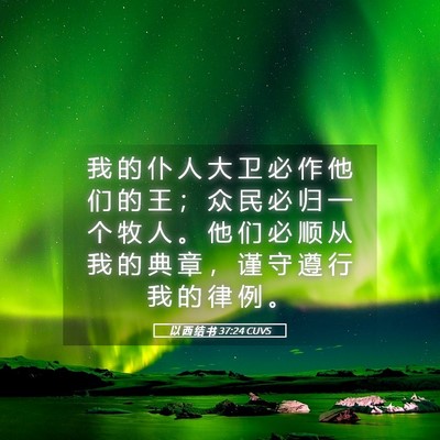 Picture 05 - 以 西 结 书 37:24 CUVS - 我 的 仆 人 大 卫 必 作 他 们 的 王 - Bible Verse Picture