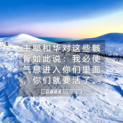 Picture 05 - 以 西 结 书 37:5 CUVS - 主 耶 和 华 对 这 些 骸 骨 如 此 说 - Bible Verse Picture