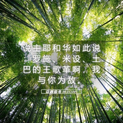 Picture 05 - 以 西 结 书 38:3 CUVS - 说 主 耶 和 华 如 此 说 ： 罗 施 、 - Bible Verse Picture