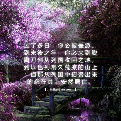 Picture 05 - 以 西 结 书 38:8 CUVS - 过 了 多 日 ， 你 必 被 差 派 。 到 - Bible Verse Picture