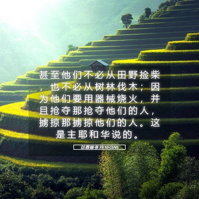 Picture 05 - 以 西 结 书 39:10 CUVS - 甚 至 他 们 不 必 从 田 野 捡 柴 ， - Bible Verse Picture