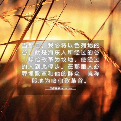 Picture 05 - 以 西 结 书 39:11 CUVS - 当 那 日 ， 我 必 将 以 色 列 地 的 - Bible Verse Picture