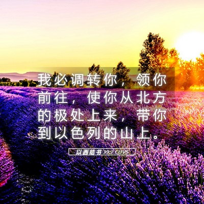 Picture 05 - 以 西 结 书 39:2 CUVS - 我 必 调 转 你 ， 领 你 前 往 ， 使 - Bible Verse Picture