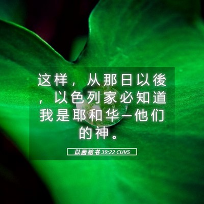 Picture 05 - 以 西 结 书 39:22 CUVS - 这 样 ， 从 那 日 以 後 ， 以 色 列 - Bible Verse Picture