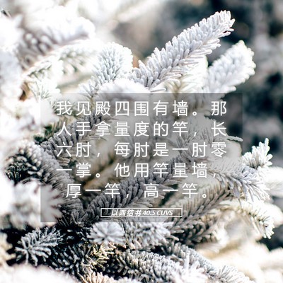 Picture 05 - 以 西 结 书 40:5 CUVS - 我 见 殿 四 围 有 墙 。 那 人 手 拿 - Bible Verse Picture
