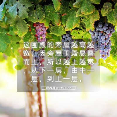 Picture 05 - 以 西 结 书 41:7 CUVS - 这 围 殿 的 旁 屋 越 高 越 宽 ； 因 - Bible Verse Picture