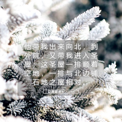 Picture 05 - 以 西 结 书 42:1 CUVS - 他 带 我 出 来 向 北 ， 到 外 院 ， - Bible Verse Picture
