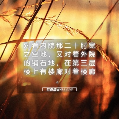 Picture 05 - 以 西 结 书 42:3 CUVS - 对 着 内 院 那 二 十 肘 宽 之 空 地 - Bible Verse Picture