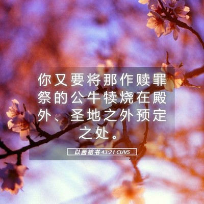 Picture 05 - 以 西 结 书 43:21 CUVS - 你 又 要 将 那 作 赎 罪 祭 的 公 牛 - Bible Verse Picture