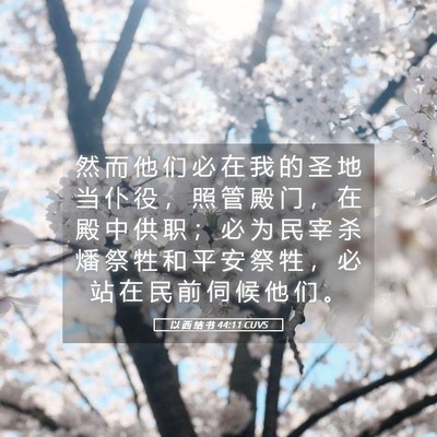 Picture 05 - 以 西 结 书 44:11 CUVS - 然 而 他 们 必 在 我 的 圣 地 当 仆 - Bible Verse Picture