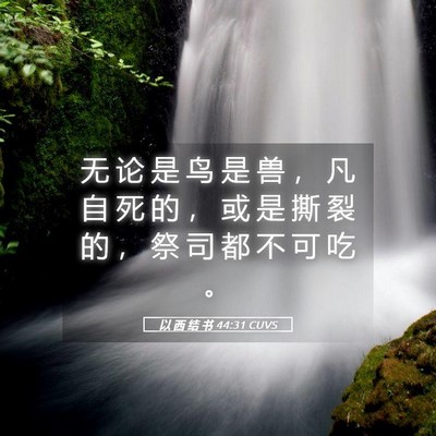 Picture 05 - 以 西 结 书 44:31 CUVS - 无 论 是 鸟 是 兽 ， 凡 自 死 的 ， - Bible Verse Picture