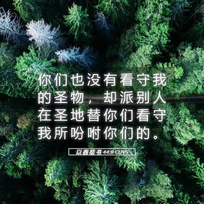 Picture 05 - 以 西 结 书 44:8 CUVS - 你 们 也 没 有 看 守 我 的 圣 物 ， - Bible Verse Picture