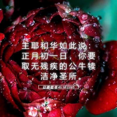 Picture 05 - 以 西 结 书 45:18 CUVS - 主 耶 和 华 如 此 说 ： 正 月 初 一 - Bible Verse Picture