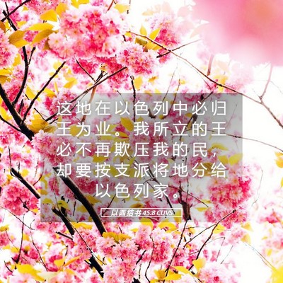 Picture 05 - 以 西 结 书 45:8 CUVS - 这 地 在 以 色 列 中 必 归 王 为 业 - Bible Verse Picture