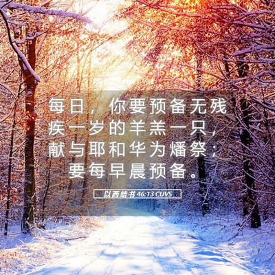 Picture 05 - 以 西 结 书 46:13 CUVS - 每 日 ， 你 要 预 备 无 残 疾 一 岁 - Bible Verse Picture
