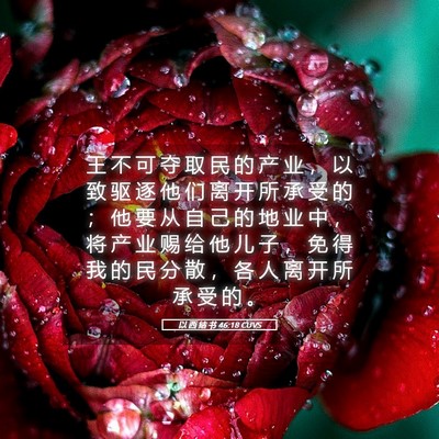 Picture 05 - 以 西 结 书 46:18 CUVS - 王 不 可 夺 取 民 的 产 业 ， 以 致 - Bible Verse Picture