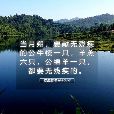 Picture 05 - 以 西 结 书 46:6 CUVS - 当 月 朔 ， 要 献 无 残 疾 的 公 牛 - Bible Verse Picture