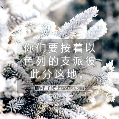 Picture 05 - 以 西 结 书 47:21 CUVS - 你 们 要 按 着 以 色 列 的 支 派 彼 - Bible Verse Picture